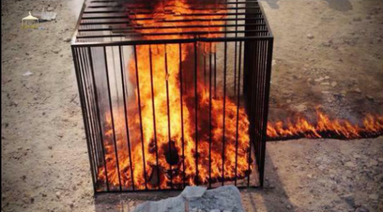 isis-burns-captured-jordanian-pilot-alive-